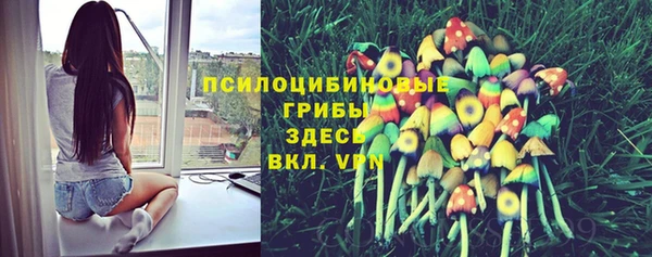 не бодяженный Богородск